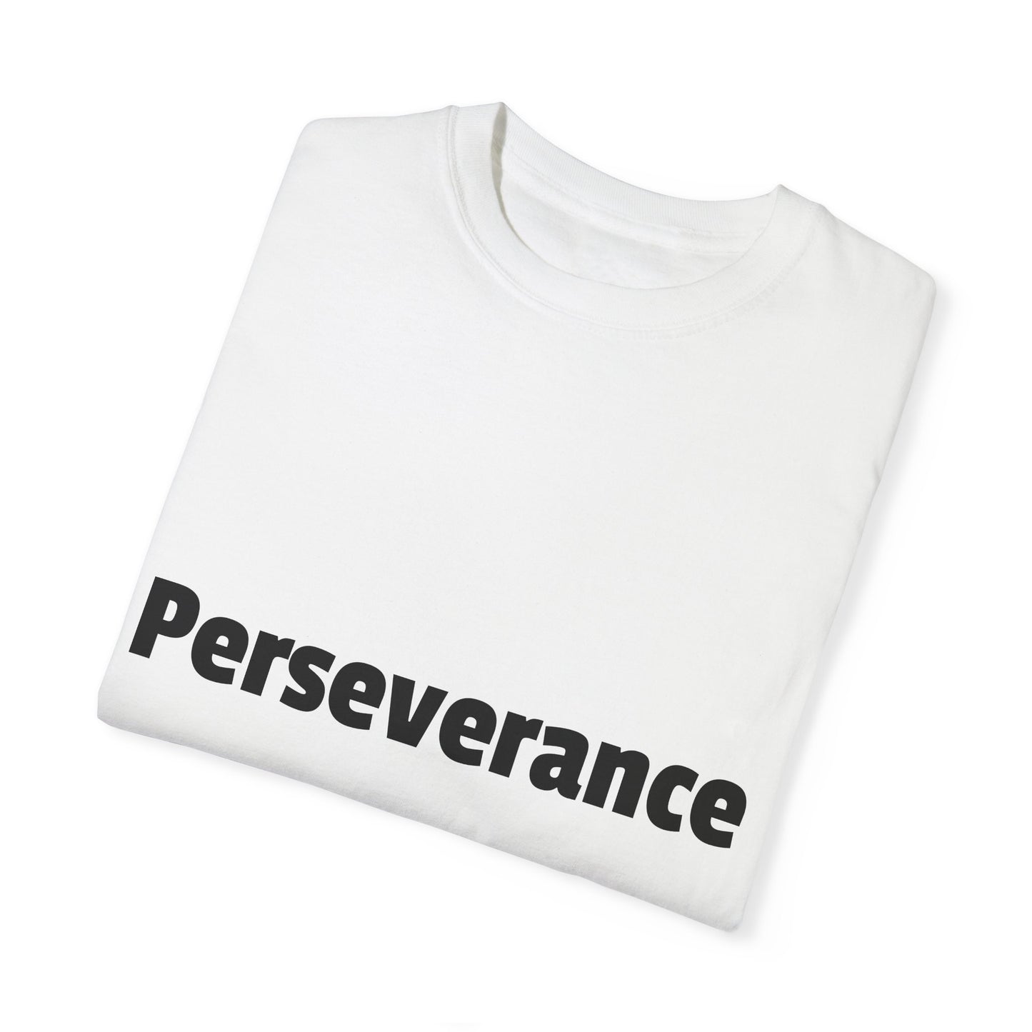 Perseverance Adult T-shirt