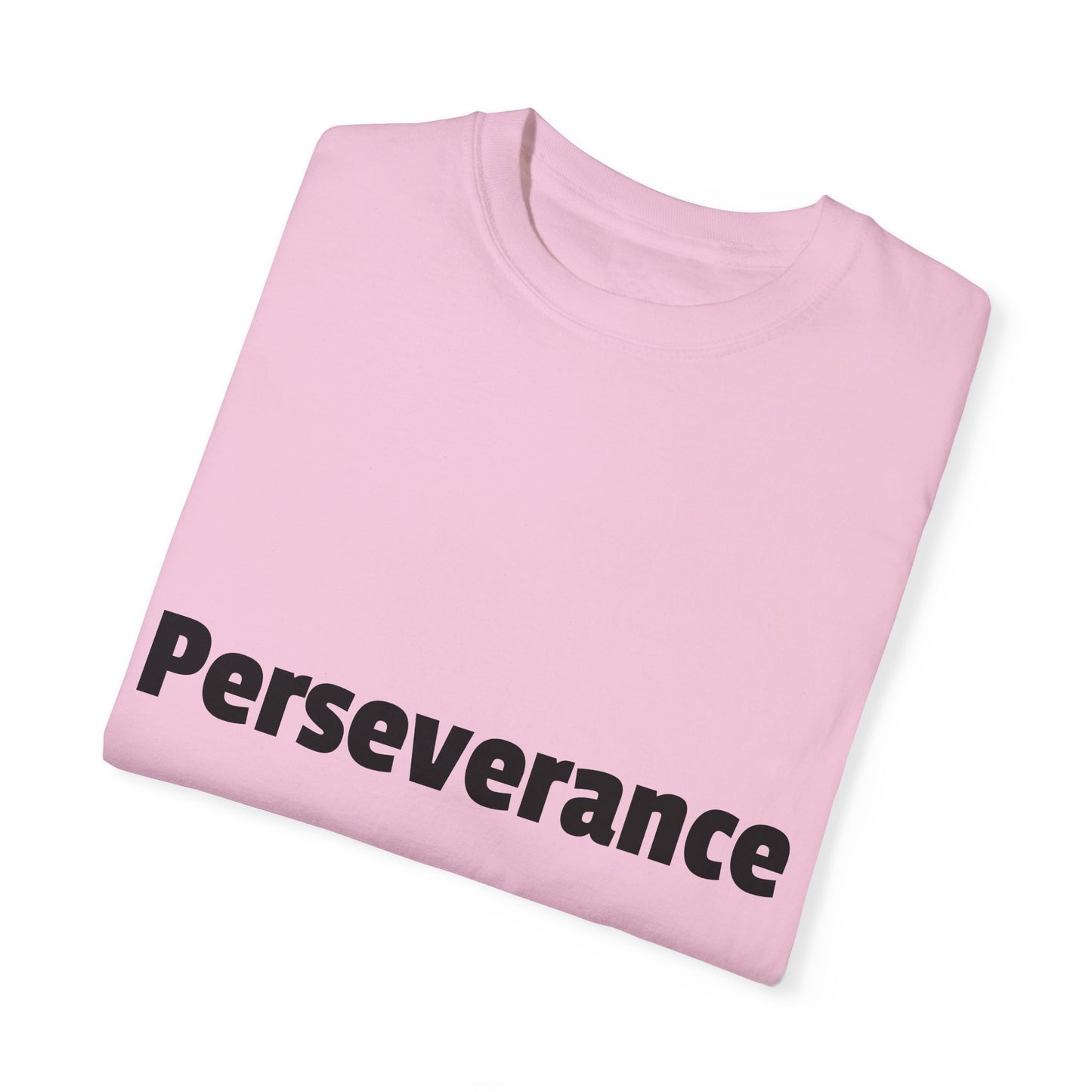 Perseverance Adult T-shirt