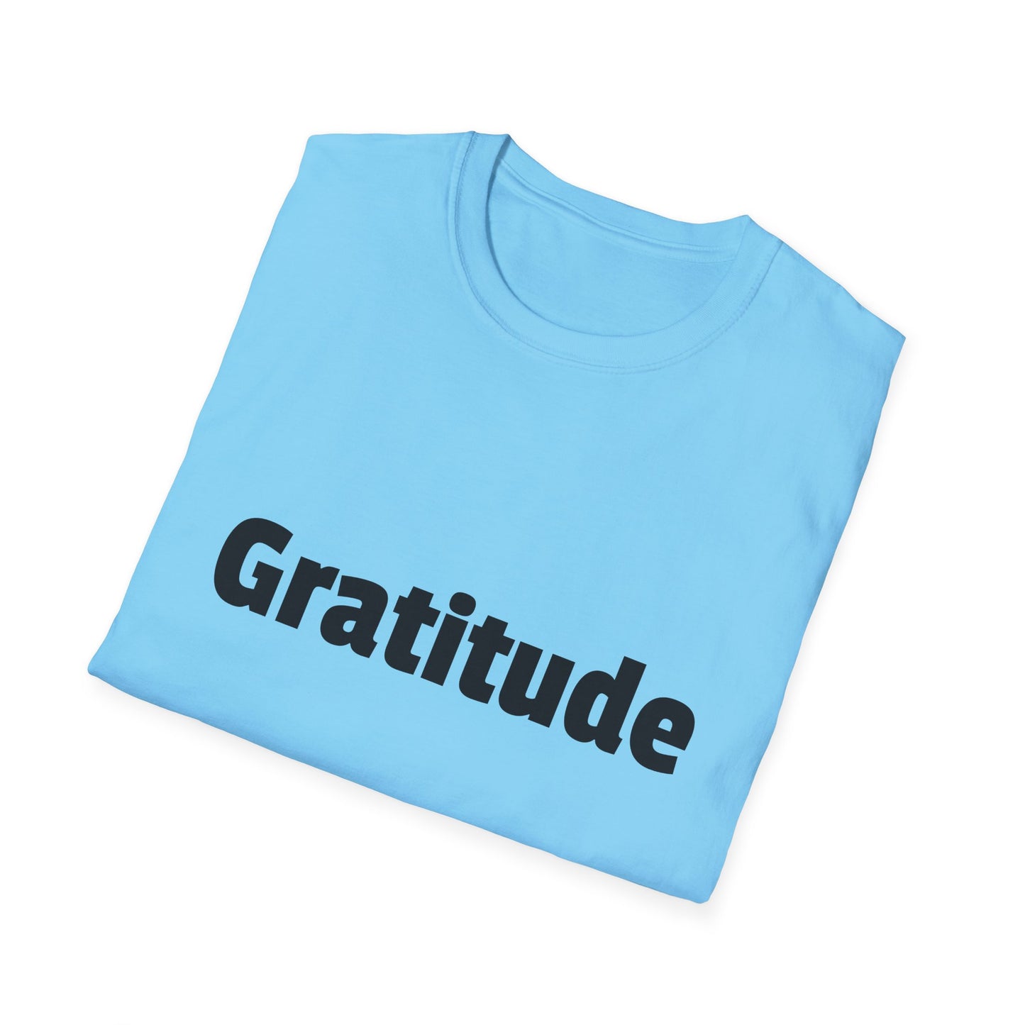 Gratitude Adult T-Shirt